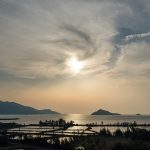 【壯陽】追求傳統所謂的壯陽？醫學觀點談男性體能打底與日常微量元素攝取