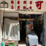 【壯陽中藥】民間常說的壯陽中藥真的有效嗎？中醫師深入解析辨證論治與體質調理