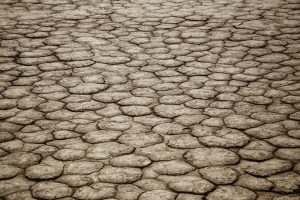 Read more about the article 【40歲 硬不起來】突然發現40歲 硬不起來？專科醫師解析心理壓力與血管循環真相