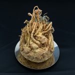 瑪卡到底是什麼？解密印加秘魯人蔘：生長環境、營養價值與每日攝取量