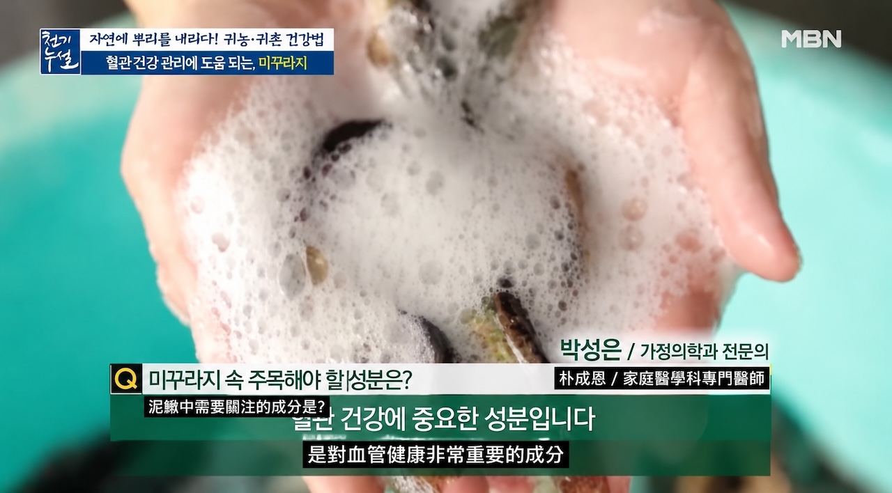 韓國MBN天機漏洩節目專訪家庭醫學科朴成恩醫師解析泥鰍黏液營養價值